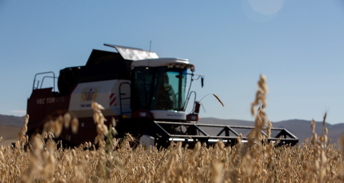 Хаврын тариалалтад 32 мянган тонн