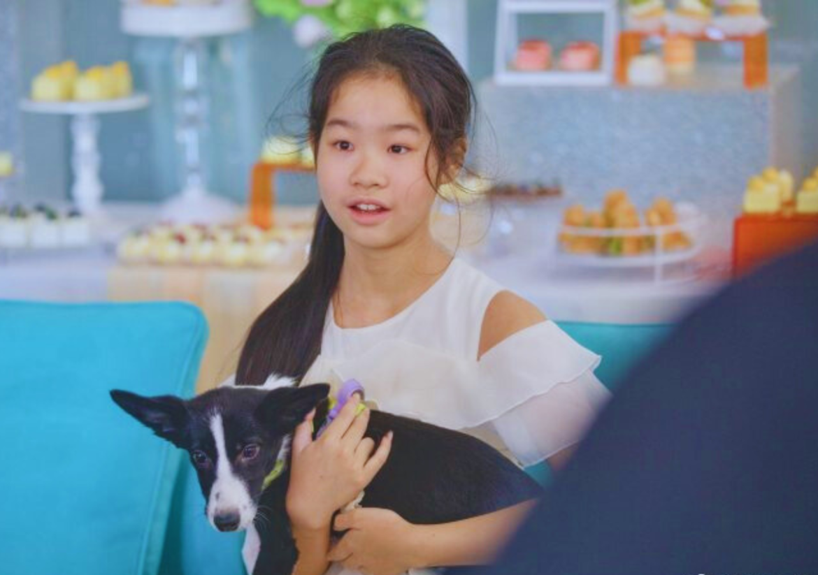 Ханжөүгийн олон улсын нисэх буудал тэжээвэр амьтдын хүлээлгийн танхим нээлээ