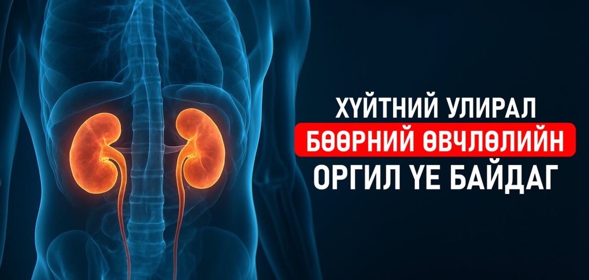 Хүйтрэх үед шээс дамжуулах замын халдвар яагаад олширдог вэ?