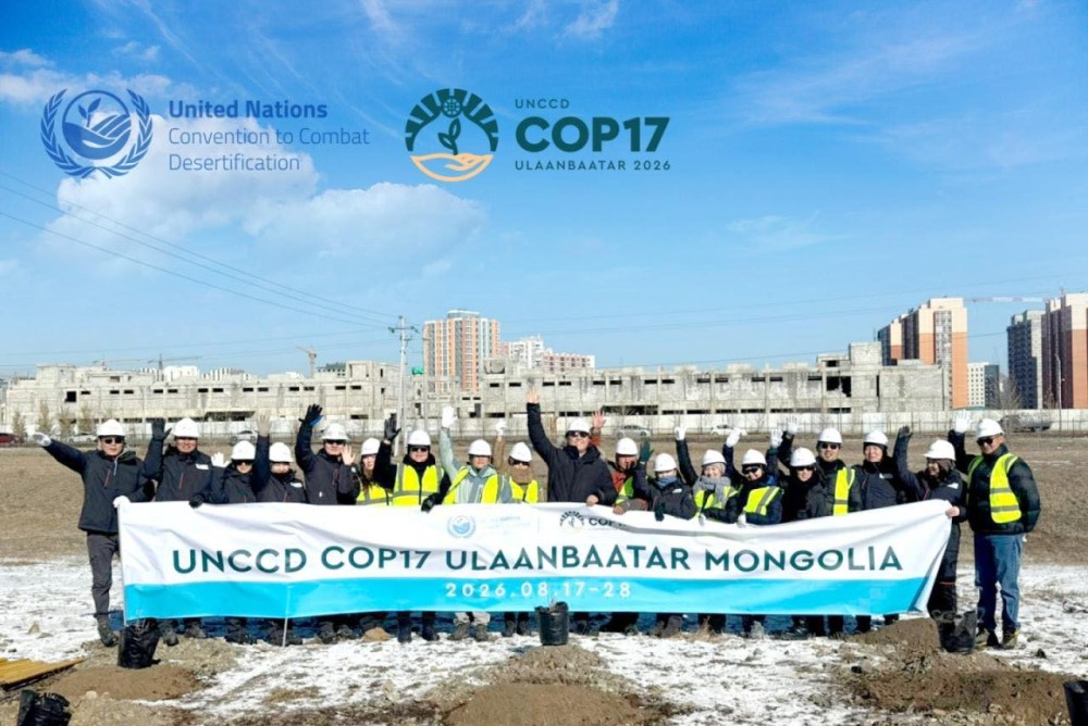 image COP17