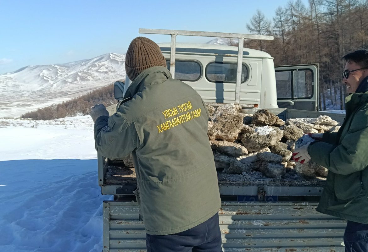 Богдхан уулын амьтадад хужир тавьж өглөө