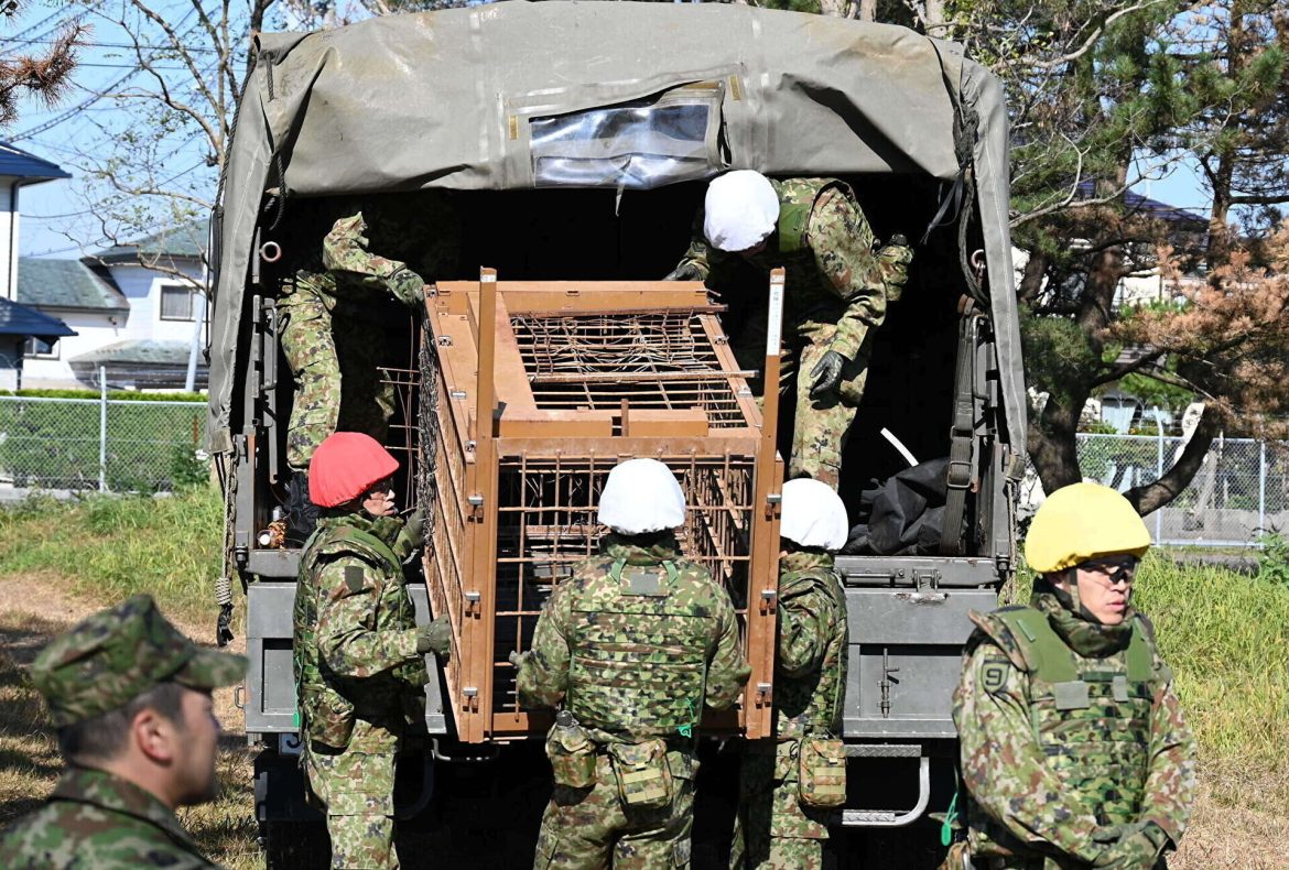 Японд баавгай хүн рүү дайрах асуудалтай тэмцэхээр цэрэг дайчилж эхэллээ