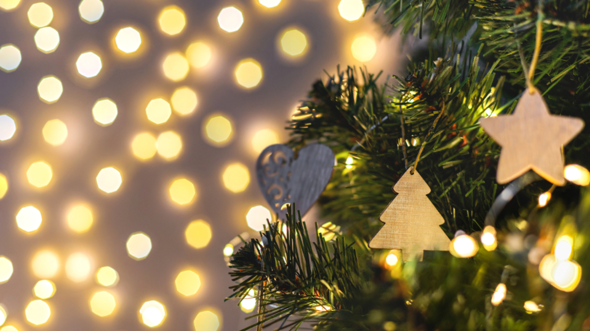 Ямар өдөр гацуур модоо засахыг зурхайчид зааж өглөө