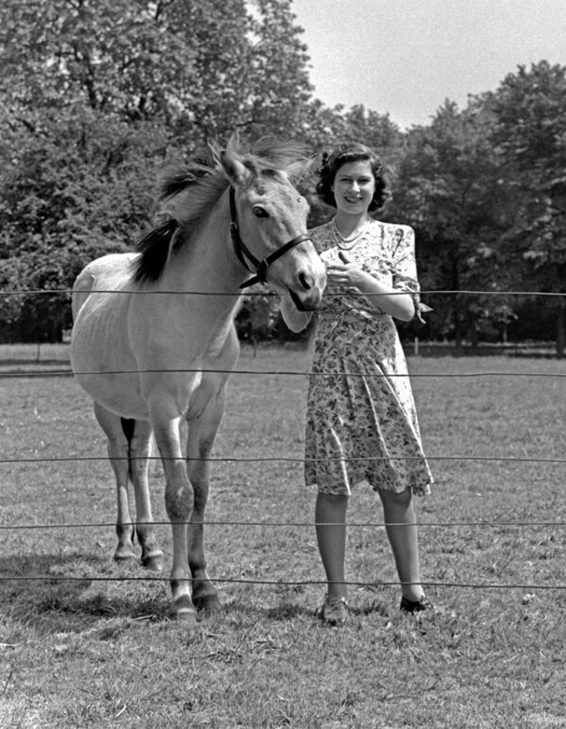 Морины ивээл дор: Морь унах дуртай 10 улс төрч, алдартнууд 11 Елизавета II