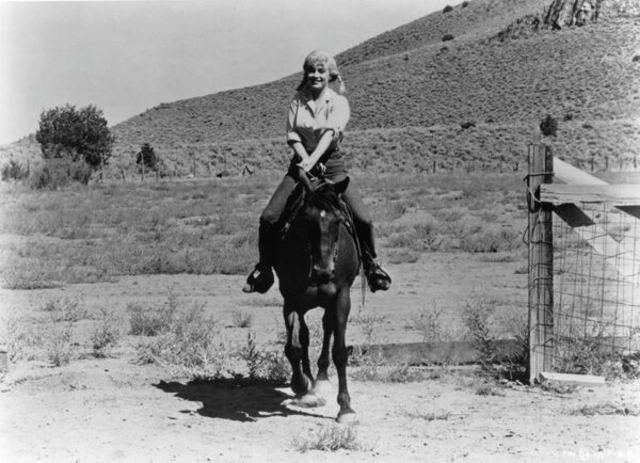 Морины ивээл дор: Морь унах дуртай 10 улс төрч, алдартнууд 14 Мэрилин Монро