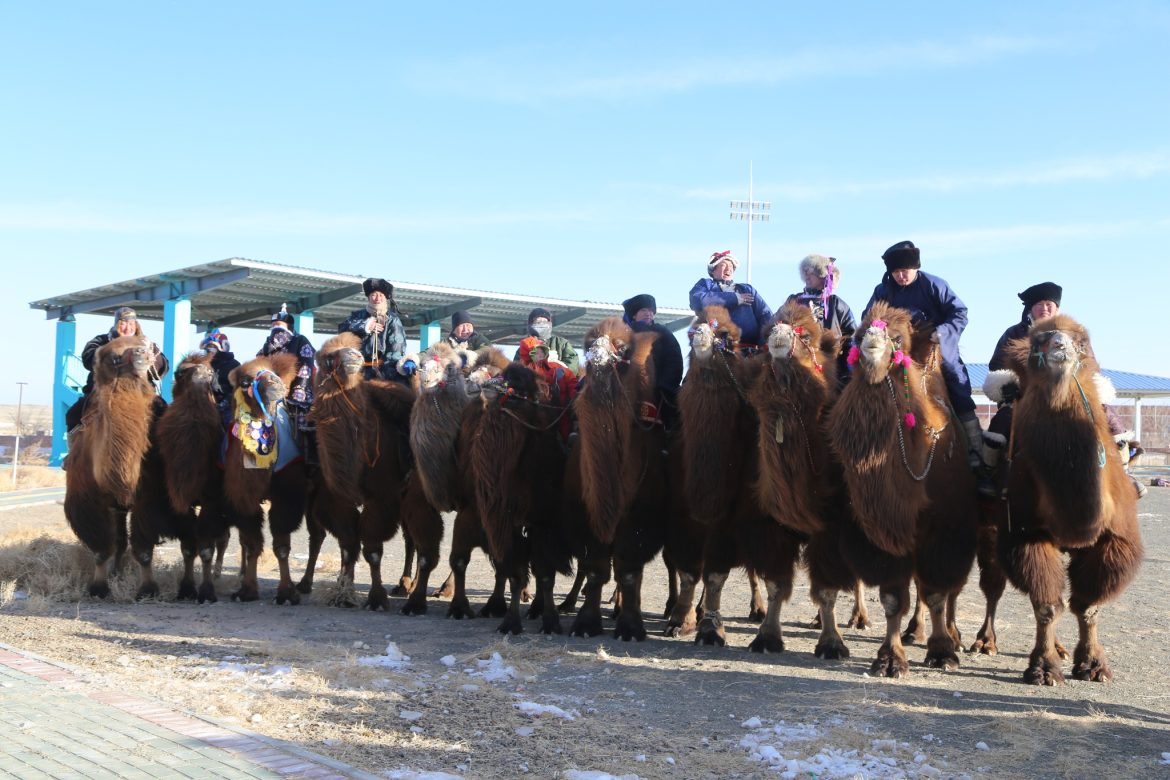 Түмэн тэмээний баяр-2026