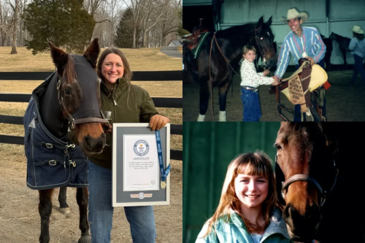 АНУ-ын Виржини мужийн морь дэлхийн хамгийн өндөр настай мориор тодорлоо