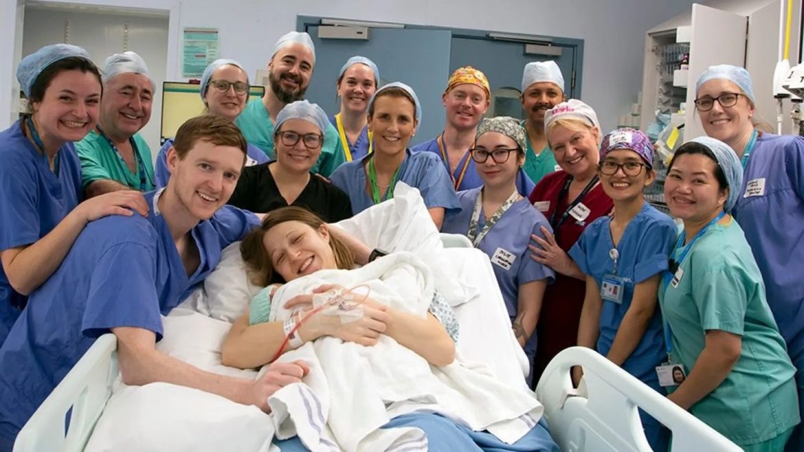 Нас барсан донороос шилжүүлэн суулгасан умайд бойжсон анхны британи хүүхэд мэндэлжээ