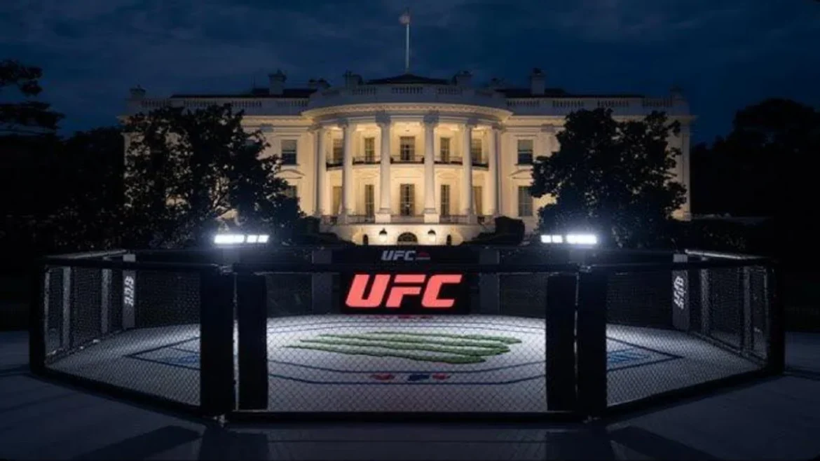 UFC