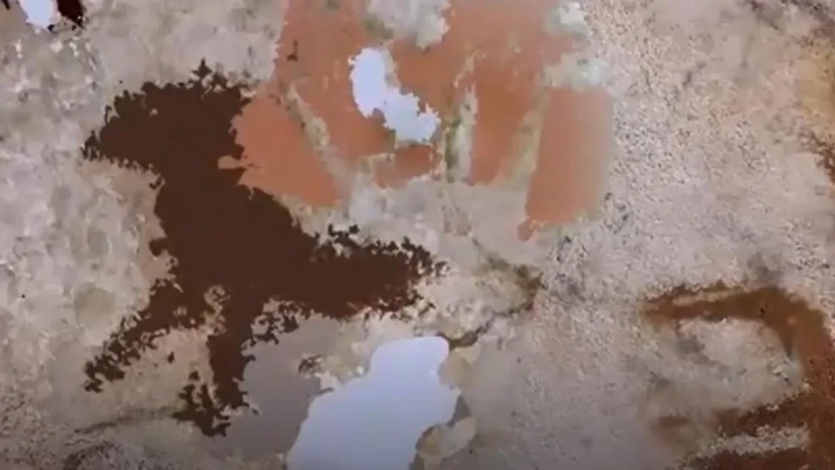 Эрдэмтэд 67,800 жилийн настай хамгийн эртний хадны сүг зураг олжээ