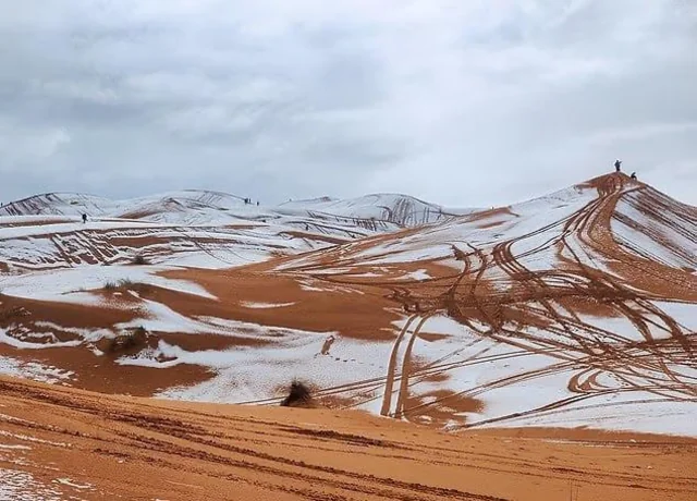 Сахарын цөлд дахин цас орлоо: "Цөлийн хаалга" цагаан өнгөөр хучигдав 6 Сахарын цөлд дахин цас орлоо: "Цөлийн хаалга" цагаан өнгөөр хучигдав