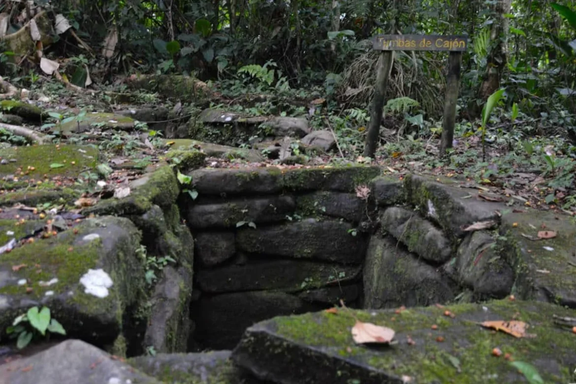 Штольценберг