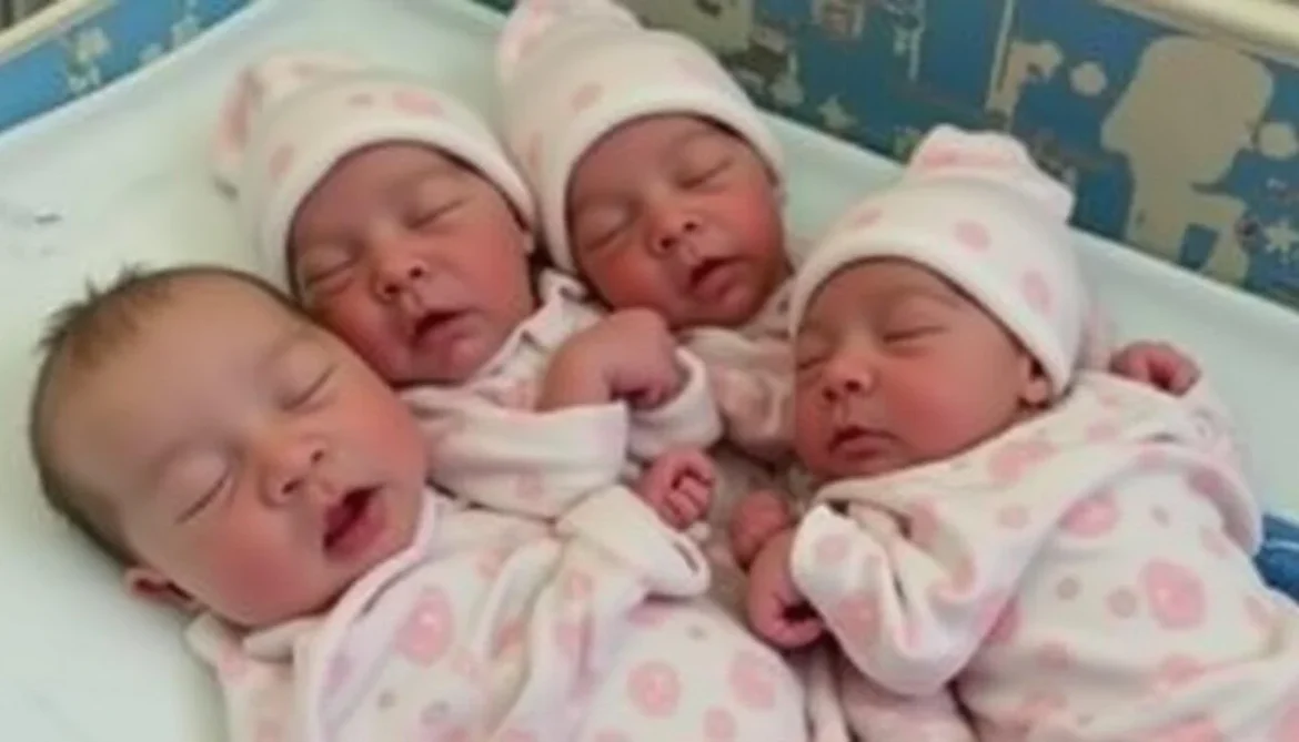 Орост анх удаа нэг өндгөн эсийн дөрвөн ихэр охин мэндэллээ