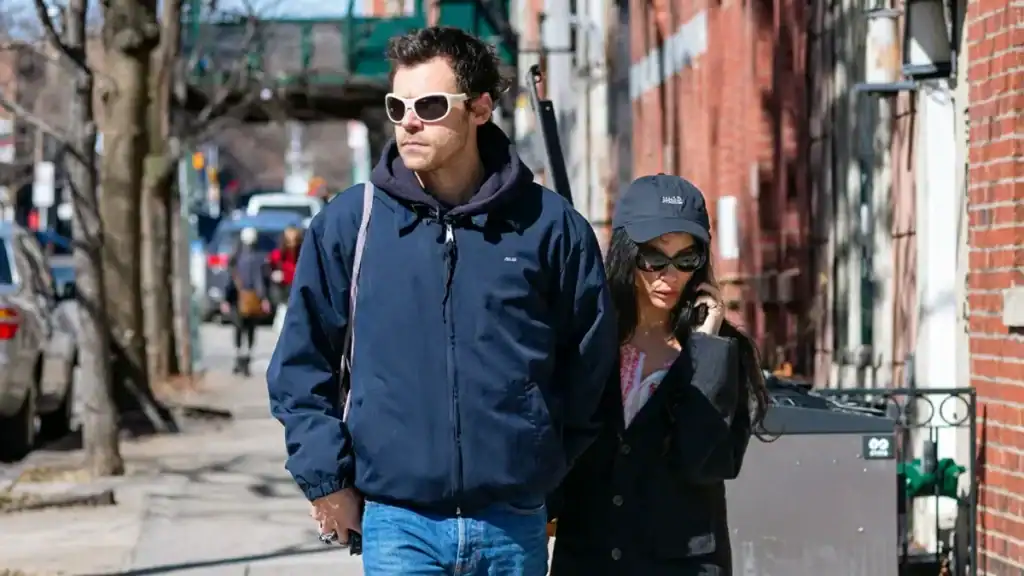 Зои Кравиц өөрөөсөө зургаан насаар дүү Гарри Стайлстай гэрлэх гэж байна уу? 6 Стайлс