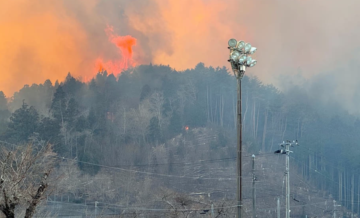 Японы хойд зүгт гарсан ой хээрийн түймэрт 200 гаруй га талбай шатаад байна