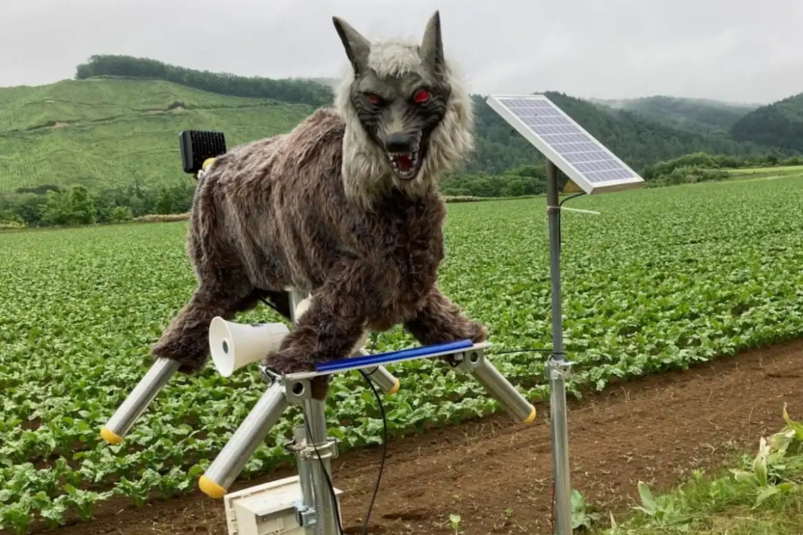 Monster Wolf